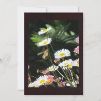 Flores blancas y rosas
