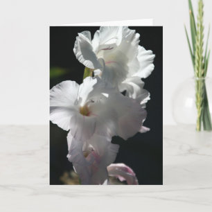 Flores blancos en tarjeta de felicitación negra