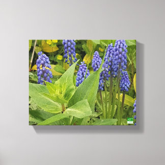 Flores Bluebell Impresión de fotografías artística
