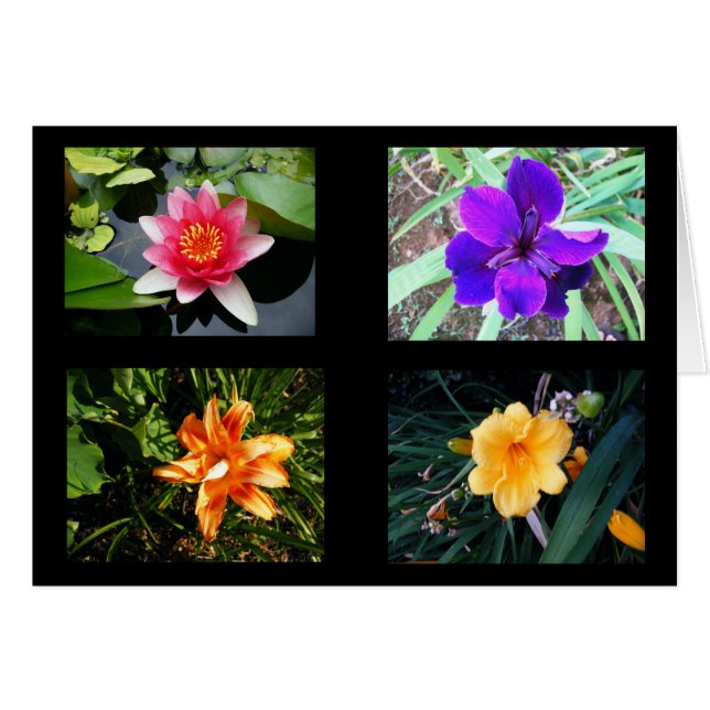 Flores bonitas, en blanco (Anverso (Horizontal))