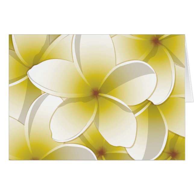 Flores brillantes de Frangipani/ Plumeria (Anverso (Horizontal))