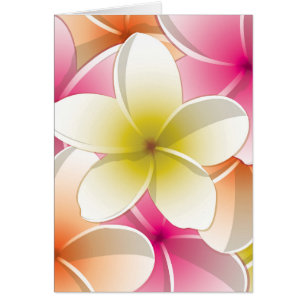 Flores brillantes de Frangipani/ Plumeria