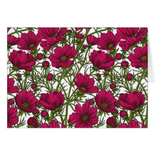 Flores Cosmos rosadas