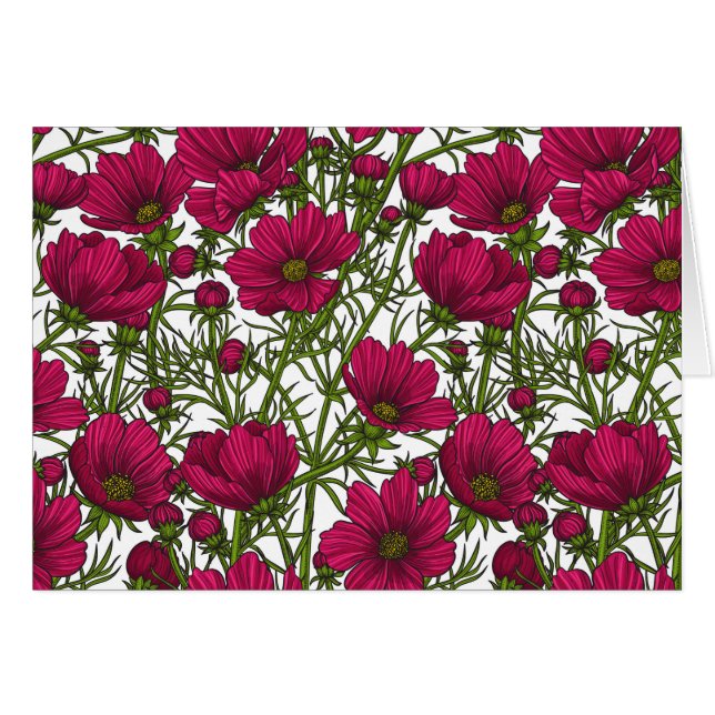 Flores Cosmos rosadas (Anverso (Horizontal))