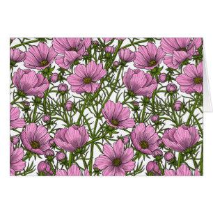 Flores Cosmos rosadas