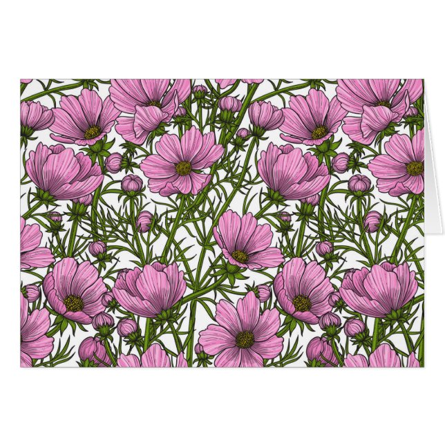 Flores Cosmos rosadas (Anverso (Horizontal))