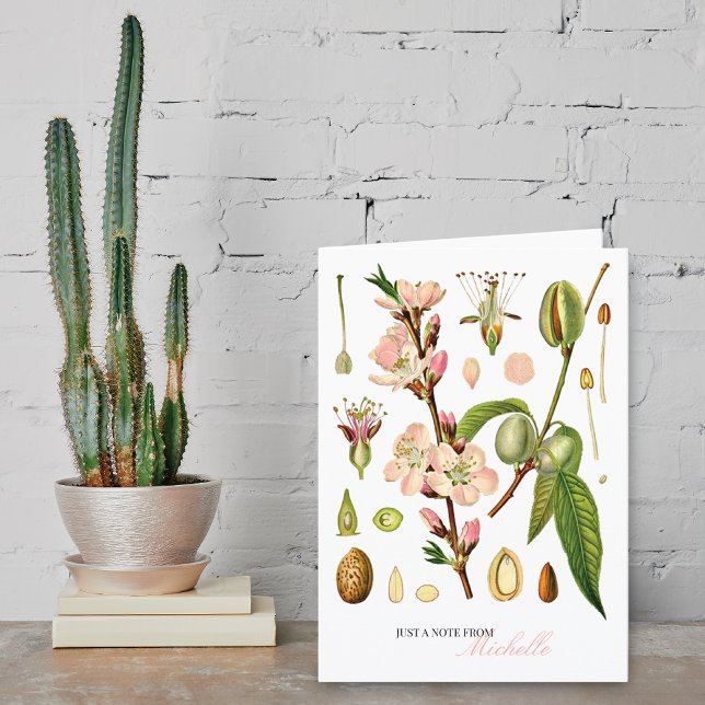 Flores de almendras botánicas Monograma en blanco (Subido por el creador)