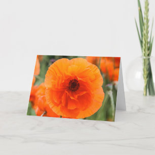 Flores de amapola brillantes tarjeta del día de la
