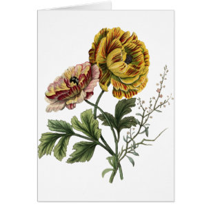 Flores de amapola vintage