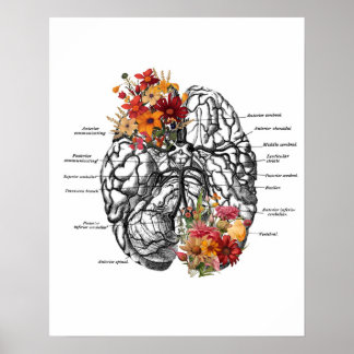 Flores de anatomía cerebral arte anatómico