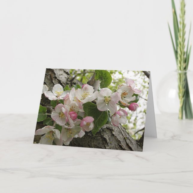 Flores de Apple salvaje - tarjeta de felicitación (Anverso)