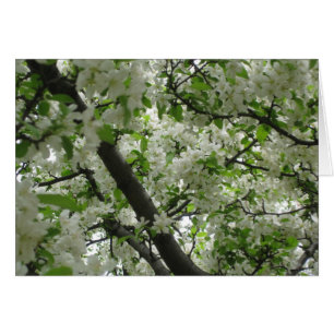 Flores de arce