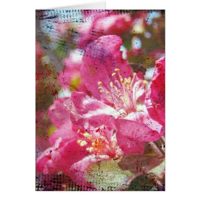 Flores de arce (Frente)