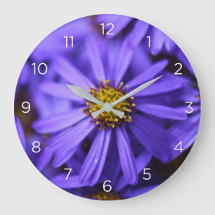 Flores de Aster Púrpura Números Reloj de pared
