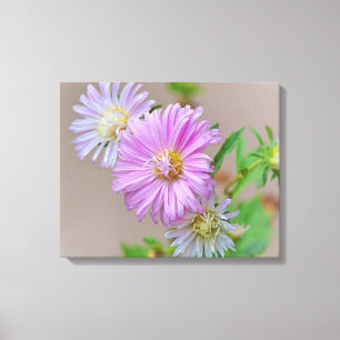 Flores de Aster Rosa Impresión de arte de tela flo