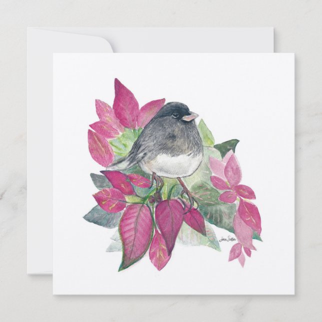 Flores de aves de Junco (Anverso)