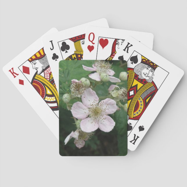 Flores de Blackberry jugando cartas (Reverso)