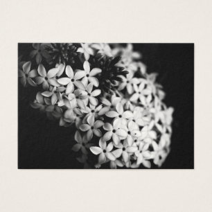 Flores de blanco y negro