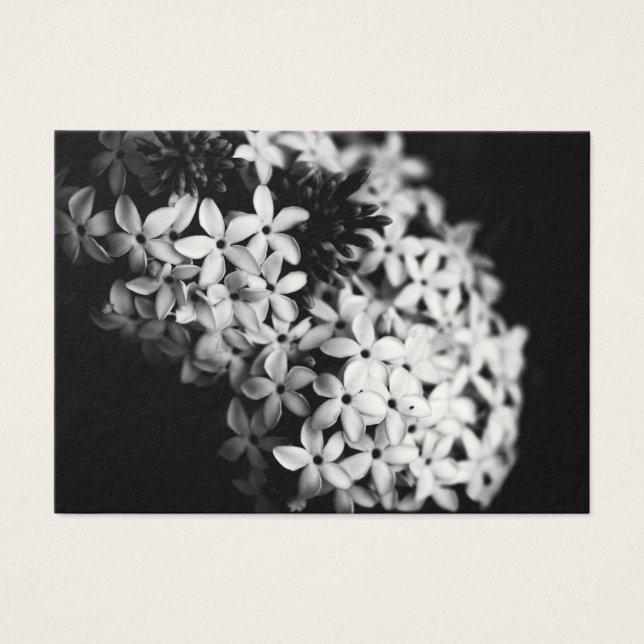 Flores de blanco y negro (Frente)