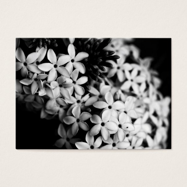 Flores de blanco y negro (Frente)