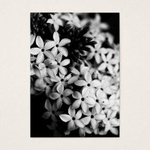 Flores de blanco y negro