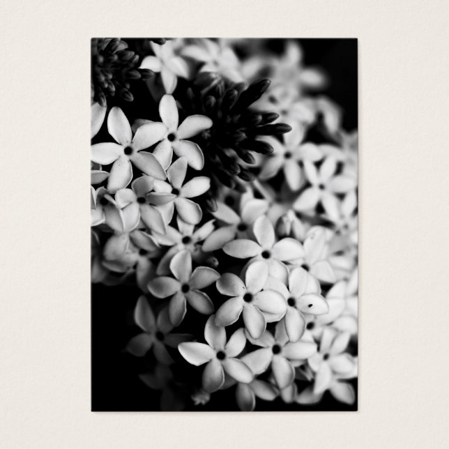 Flores de blanco y negro (Frente)