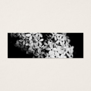 Flores de blanco y negro