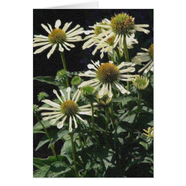 Flores de bonito (Frente)