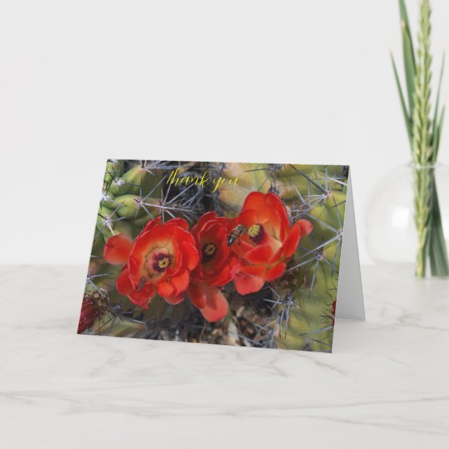 Flores de cactus plegadas Tarjeta de agradecimient (Anverso)