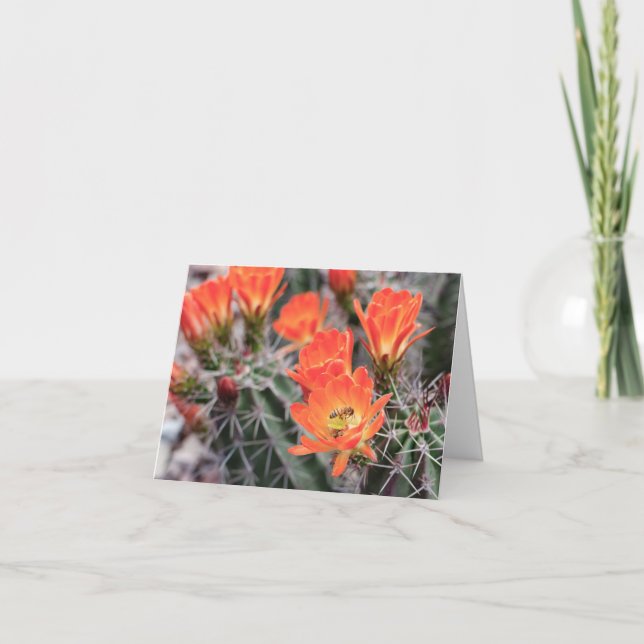 Flores de cactus y abeja | Tarjeta de nota de los  (Anverso)