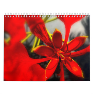 Flores de Calendario
