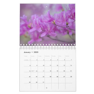 Flores de calendario