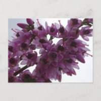 Flores de calor cierran tarjeta postal DIY