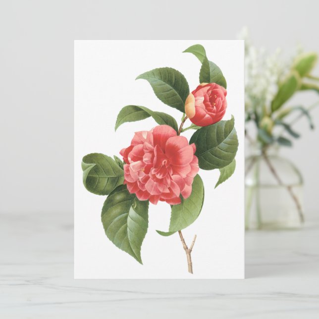 Flores de camelia rosa por invitación repetida (Anverso de pie)
