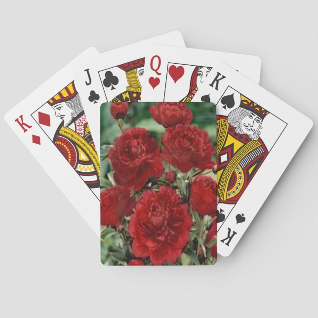 Flores De Carnación Rojas Jugando Cartas (Reverso)