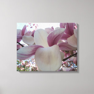Flores de cerezo Arte fotográfico rosa y blanco