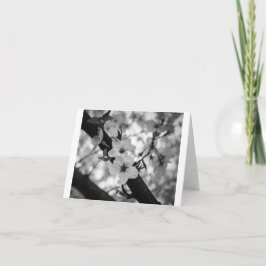 Flores de cerezo BW - Tarjeta plegada en blanco