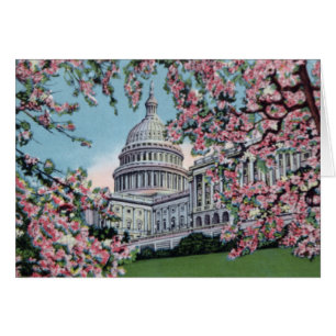 Flores de cerezo de Capitol Hill del Washington DC