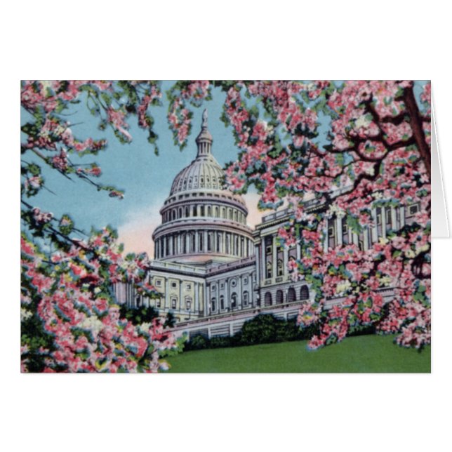 Flores de cerezo de Capitol Hill del Washington DC (Anverso (Horizontal))