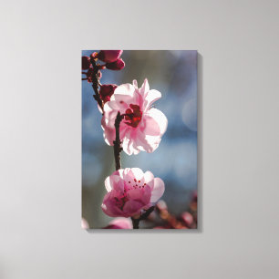 Flores de cerezo en el arte triptch del sol