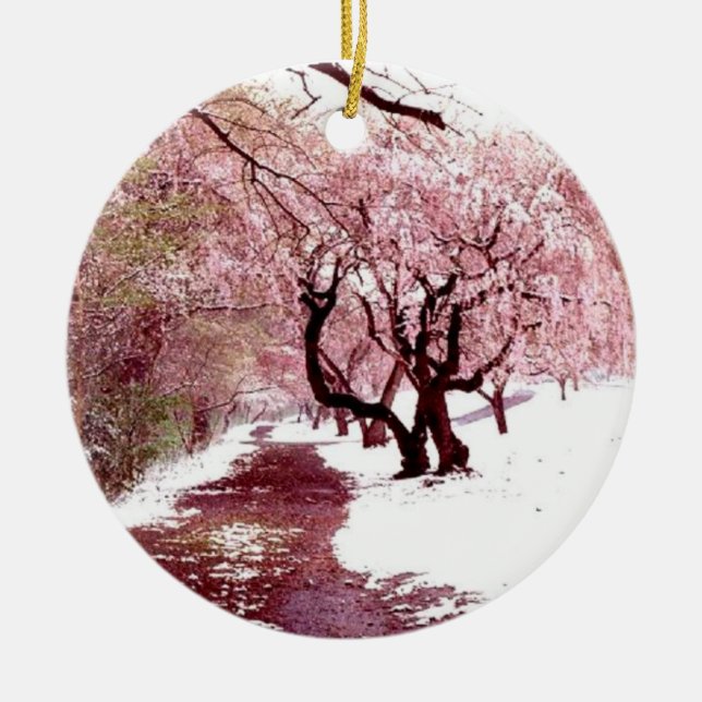 Flores de cerezo en el ornamento de la nieve (Frente)