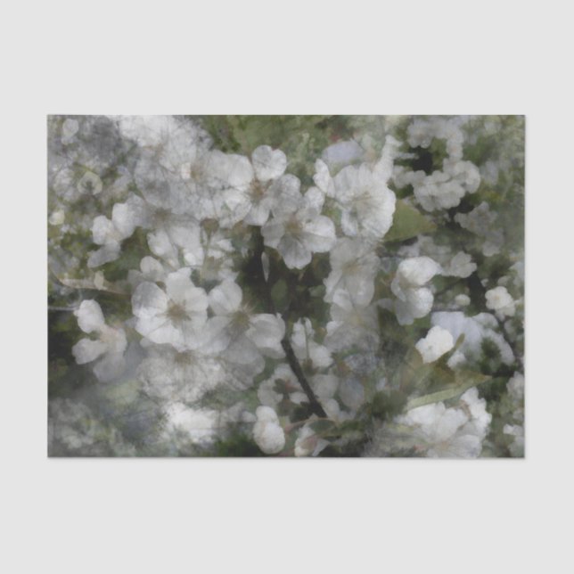 Flores de cerezo Papel de té (Anverso)