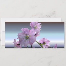 Flores de cerezo rosa