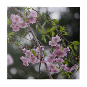 Flores de cerezo rosado flotando en una baldosa de