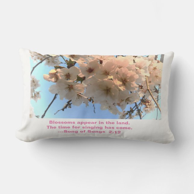 Flores de cerezo y canción de la almohada de las (Anverso)
