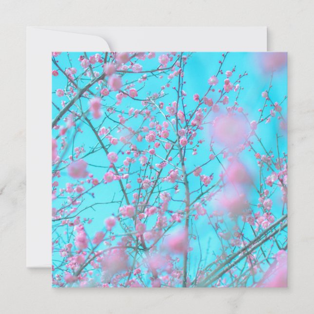 Flores de ciruela (Suzhou, China) (Anverso)