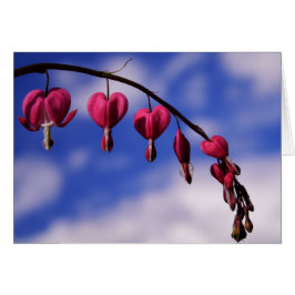 [Flores de colores] Tarjeta de felicitación para e