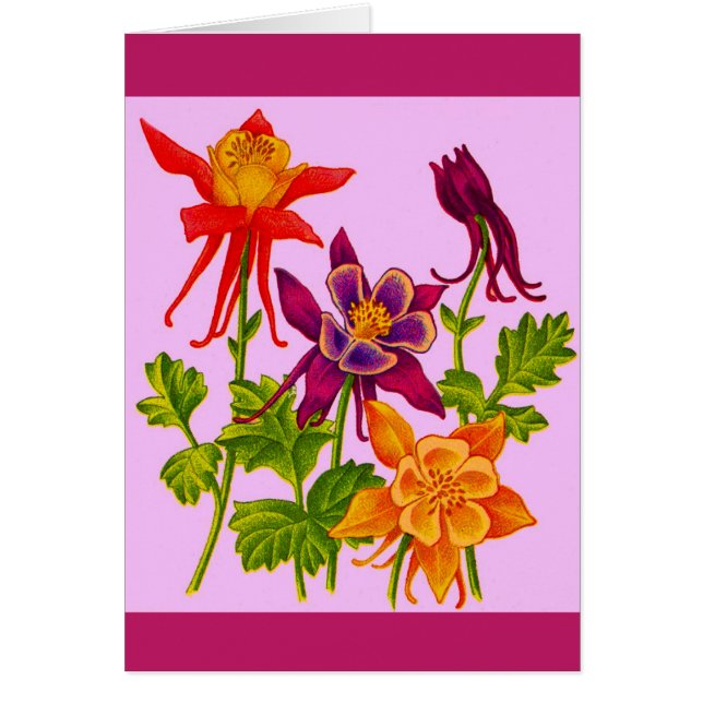 flores de columba (Frente)