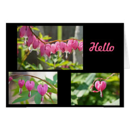 Flores de corazón sangrantes