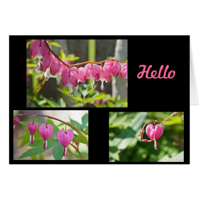 Flores de corazón sangrantes (Anverso (Horizontal))